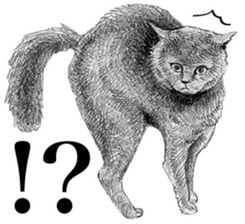 CAT! CAT! CAT! sticker #2668060