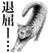 CAT! CAT! CAT! sticker #2668063