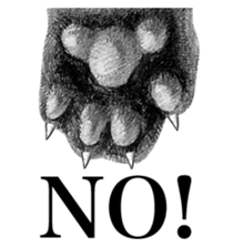 CAT! CAT! CAT! sticker #2668065