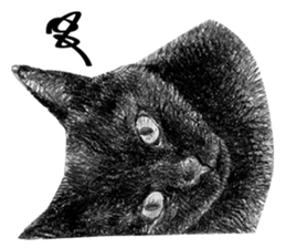 CAT! CAT! CAT! sticker #2668066