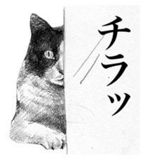 CAT! CAT! CAT! sticker #2668068