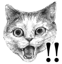 CAT! CAT! CAT! sticker #2668069