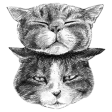 CAT! CAT! CAT! sticker #2668071