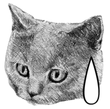 CAT! CAT! CAT! sticker #2668072