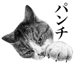 CAT! CAT! CAT! sticker #2668073