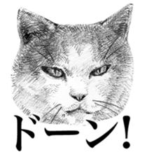 CAT! CAT! CAT! sticker #2668074