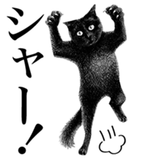 CAT! CAT! CAT! sticker #2668075