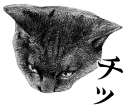 CAT! CAT! CAT! sticker #2668076