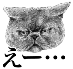 CAT! CAT! CAT! sticker #2668078