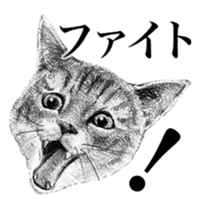 CAT! CAT! CAT! sticker #2668079
