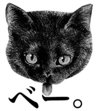 CAT! CAT! CAT! sticker #2668080