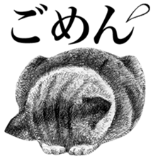 CAT! CAT! CAT! sticker #2668081