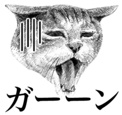 CAT! CAT! CAT! sticker #2668082