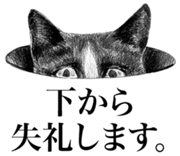 CAT! CAT! CAT! sticker #2668083