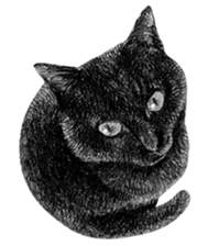 CAT! CAT! CAT! sticker #2668084