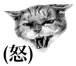 CAT! CAT! CAT! sticker #2668085
