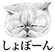 CAT! CAT! CAT! sticker #2668087