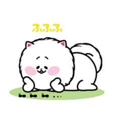Everyday white Pome sticker #2668347