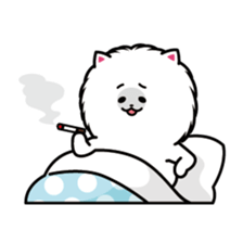 Everyday white Pome sticker #2668362