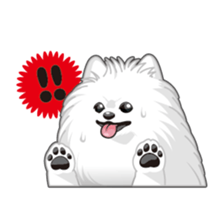 Everyday white Pome sticker #2668369