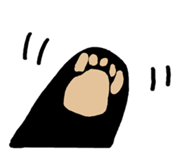 Panda riddled freewheelingly 2 sticker #2669850