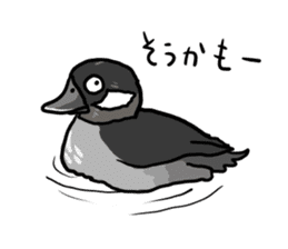 Duck on parade sticker #2672331