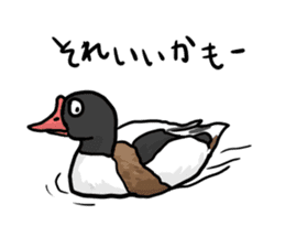 Duck on parade sticker #2672332