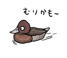 Duck on parade sticker #2672333