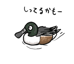 Duck on parade sticker #2672334