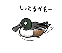 Duck on parade sticker #2672334