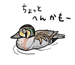 Duck on parade sticker #2672336