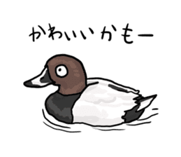 Duck on parade sticker #2672337