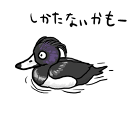 Duck on parade sticker #2672338