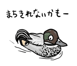 Duck on parade sticker #2672339