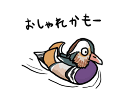 Duck on parade sticker #2672341
