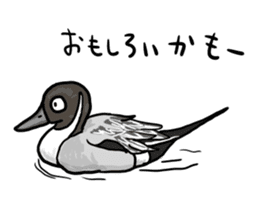 Duck on parade sticker #2672342