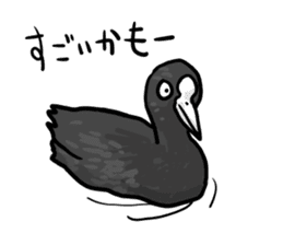 Duck on parade sticker #2672343