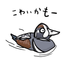 Duck on parade sticker #2672345