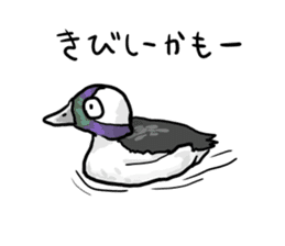 Duck on parade sticker #2672347