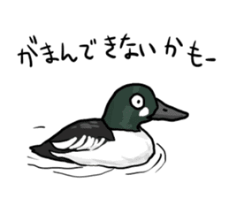 Duck on parade sticker #2672348