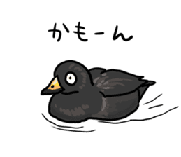 Duck on parade sticker #2672349