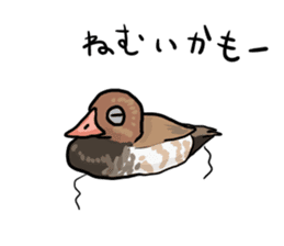 Duck on parade sticker #2672350