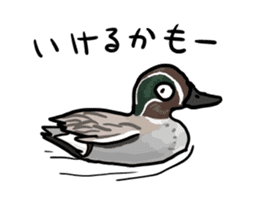 Duck on parade sticker #2672351