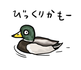 Duck on parade sticker #2672352
