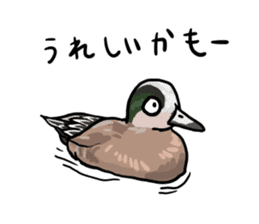 Duck on parade sticker #2672354