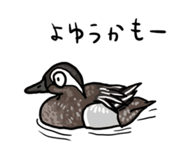 Duck on parade sticker #2672356