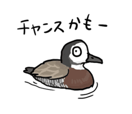 Duck on parade sticker #2672358