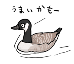 Duck on parade sticker #2672360