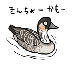 Duck on parade sticker #2672361