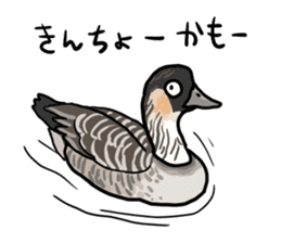 Duck on parade sticker #2672361
